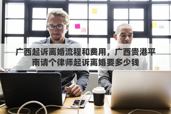 广西起诉离婚流程和费用，广西贵港平南请个律师起诉离婚要多少钱