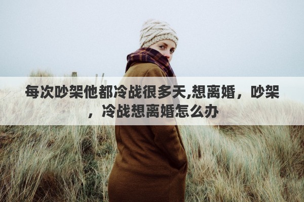 每次吵架他都冷战很多天,想离婚，吵架，冷战想离婚怎么办