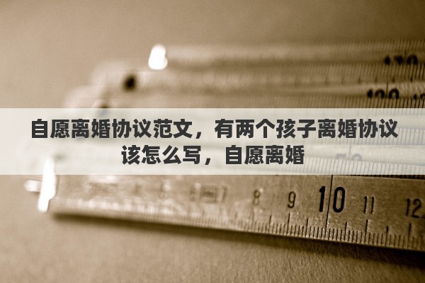 自愿离婚协议范文，有两个孩子离婚协议该怎么写，自愿离婚