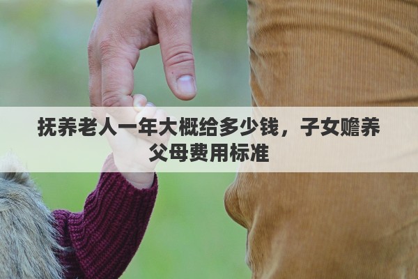 抚养老人一年大概给多少钱，子女赡养父母费用标准