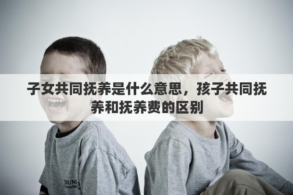 子女共同抚养是什么意思，孩子共同抚养和抚养费的区别