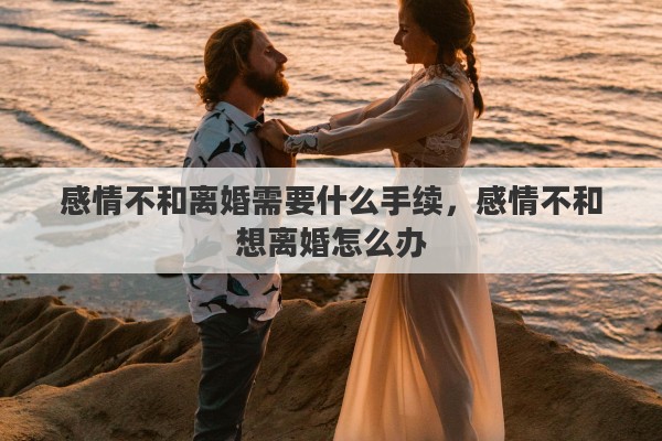 感情不和离婚需要什么手续，感情不和想离婚怎么办