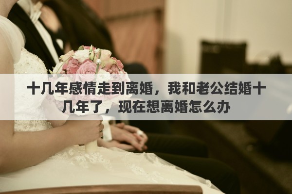 十几年感情走到离婚，我和老公结婚十几年了，现在想离婚怎么办