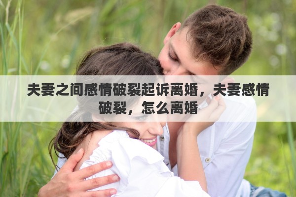 夫妻之间感情破裂起诉离婚，夫妻感情破裂，怎么离婚