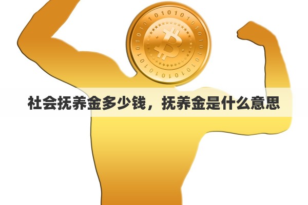 社会抚养金多少钱，抚养金是什么意思