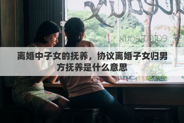 离婚中子女的抚养，协议离婚子女归男方抚养是什么意思