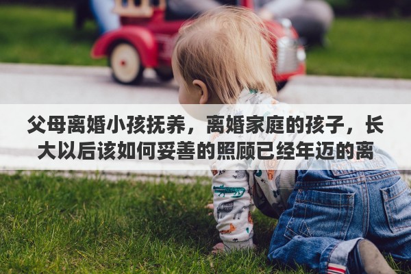 父母离婚小孩抚养，离婚家庭的孩子，长大以后该如何妥善的照顾已经年迈的离异父母