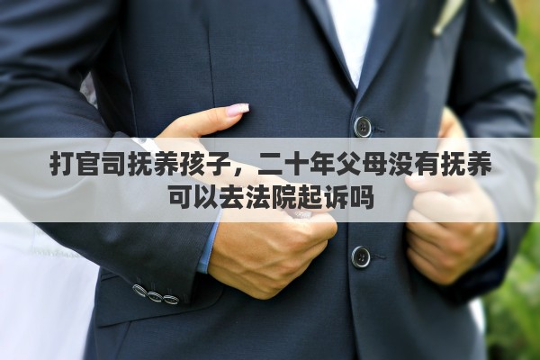 打官司抚养孩子，二十年父母没有抚养可以去法院起诉吗