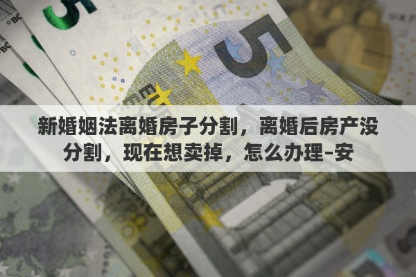 新婚姻法离婚房子分割，离婚后房产没分割，现在想卖掉，怎么办理–安