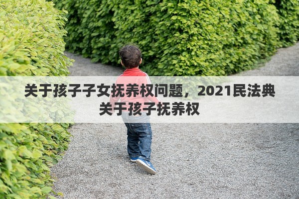 关于孩子子女抚养权问题，2021民法典关于孩子抚养权