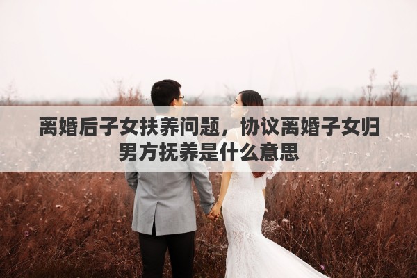 离婚后子女扶养问题，协议离婚子女归男方抚养是什么意思