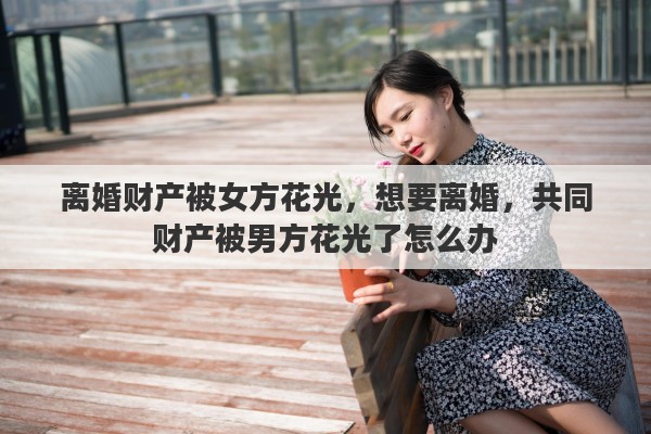 离婚财产被女方花光，想要离婚，共同财产被男方花光了怎么办
