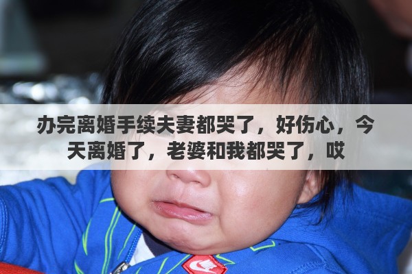 办完离婚手续夫妻都哭了，好伤心，今天离婚了，老婆和我都哭了，哎