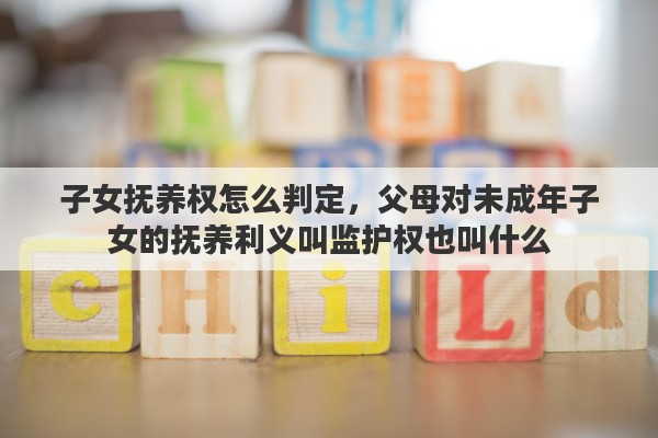 子女抚养权怎么判定，父母对未成年子女的抚养利义叫监护权也叫什么