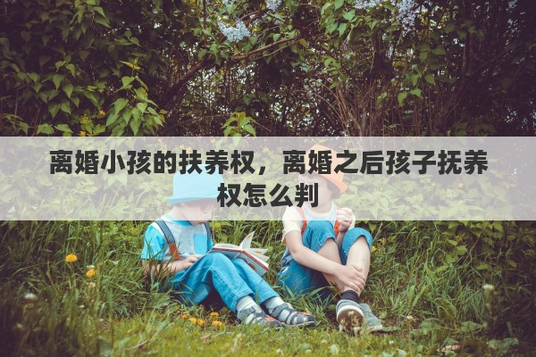 离婚小孩的扶养权，离婚之后孩子抚养权怎么判