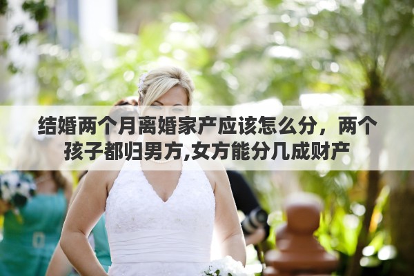 结婚两个月离婚家产应该怎么分，两个孩子都归男方,女方能分几成财产