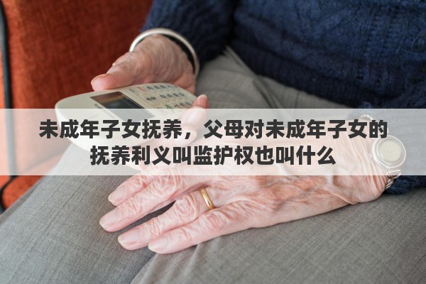 未成年子女抚养，父母对未成年子女的抚养利义叫监护权也叫什么