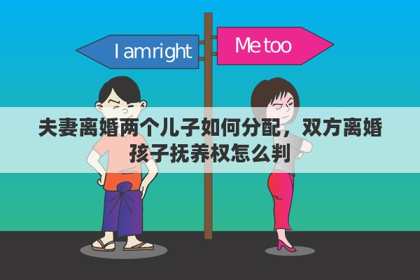 夫妻离婚两个儿子如何分配，双方离婚孩子抚养权怎么判