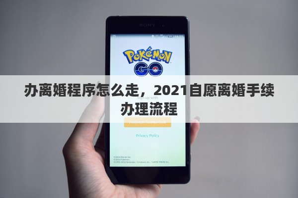 办离婚程序怎么走，2021自愿离婚手续办理流程