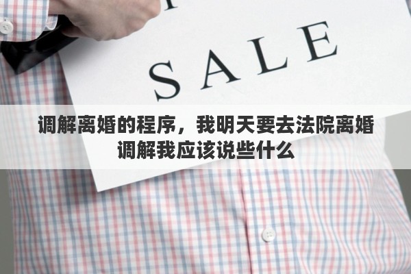 调解离婚的程序，我明天要去法院离婚调解我应该说些什么