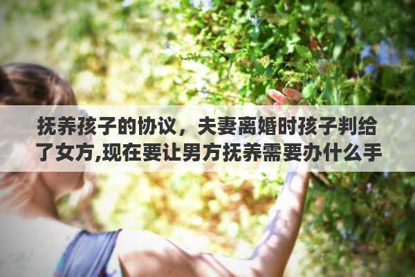 抚养孩子的协议，夫妻离婚时孩子判给了女方,现在要让男方抚养需要办什么手续吗