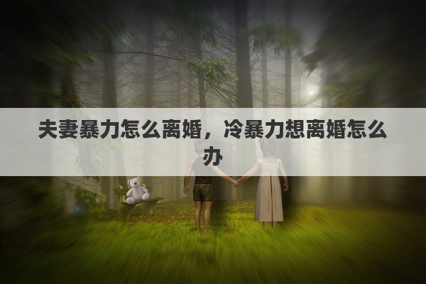 夫妻暴力怎么离婚，冷暴力想离婚怎么办