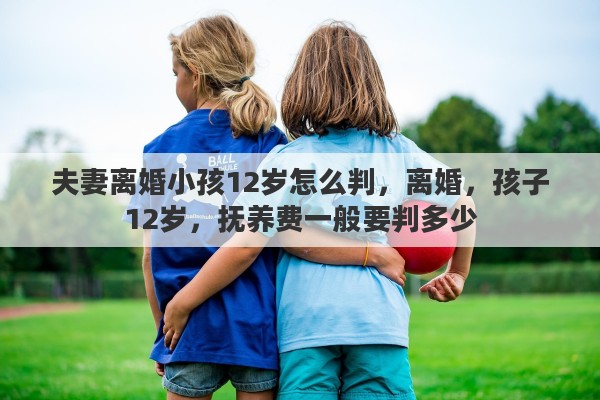夫妻离婚小孩12岁怎么判，离婚，孩子12岁，抚养费一般要判多少