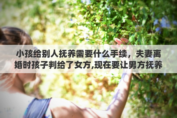 小孩给别人抚养需要什么手续，夫妻离婚时孩子判给了女方,现在要让男方抚养需要办什么手续吗