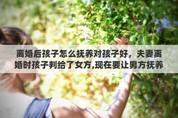 离婚后孩子怎么抚养对孩子好，夫妻离婚时孩子判给了女方,现在要让男方抚养需要办什么手续吗