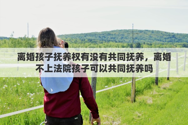 离婚孩子抚养权有没有共同抚养，离婚不上法院孩子可以共同抚养吗