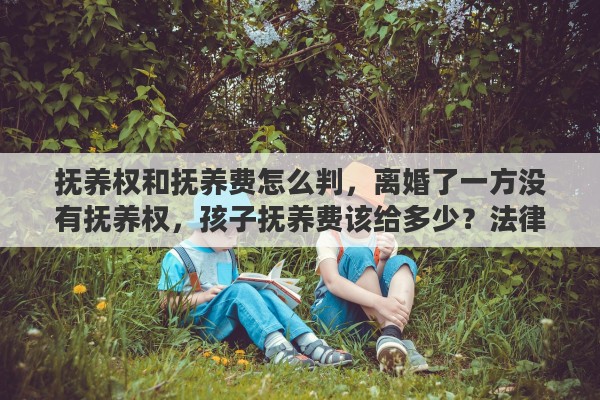 抚养权和抚养费怎么判，离婚了一方没有抚养权，孩子抚养费该给多少？法律是如何规定的