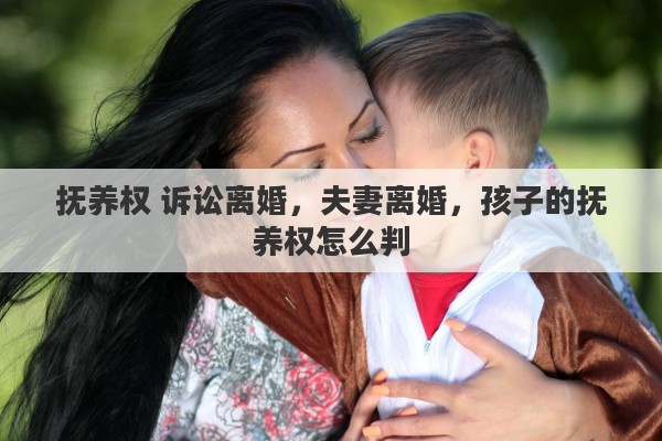 抚养权 诉讼离婚，夫妻离婚，孩子的抚养权怎么判