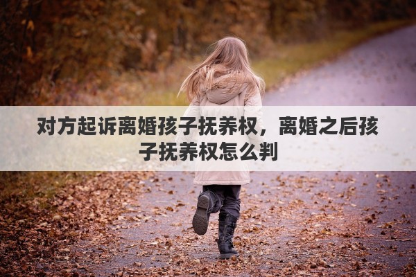 对方起诉离婚孩子抚养权，离婚之后孩子抚养权怎么判