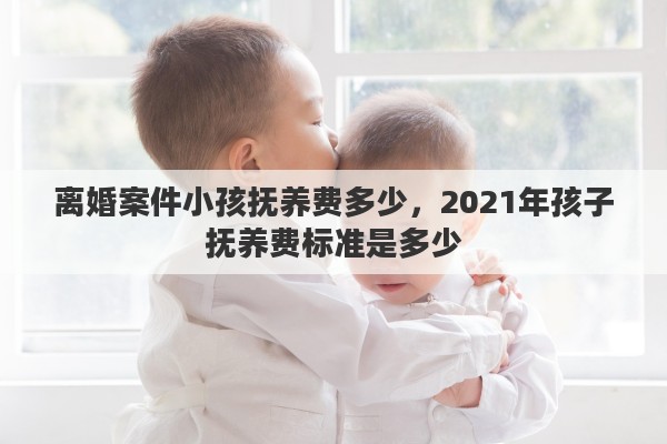 离婚案件小孩抚养费多少，2021年孩子抚养费标准是多少