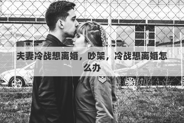 夫妻冷战想离婚，吵架，冷战想离婚怎么办