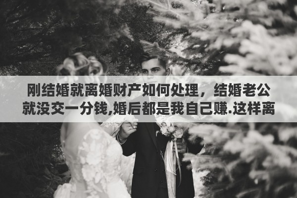 刚结婚就离婚财产如何处理，结婚老公就没交一分钱,婚后都是我自己赚.这样离婚财产怎么分割