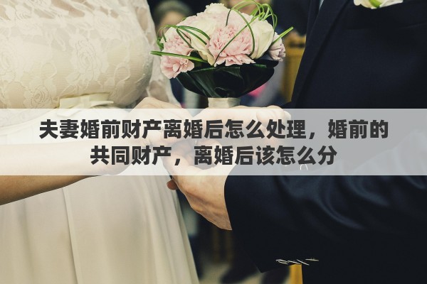 夫妻婚前财产离婚后怎么处理，婚前的共同财产，离婚后该怎么分