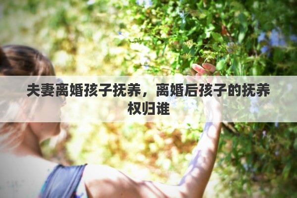 夫妻离婚孩子抚养，离婚后孩子的抚养权归谁