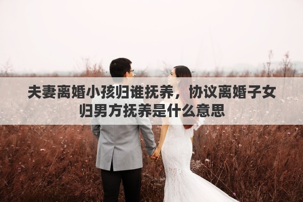 夫妻离婚小孩归谁抚养，协议离婚子女归男方抚养是什么意思