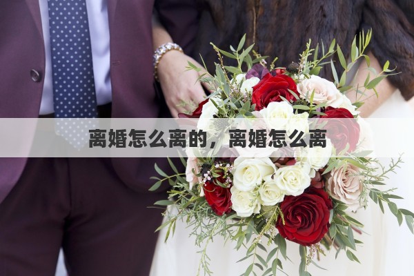 离婚怎么离的，离婚怎么离