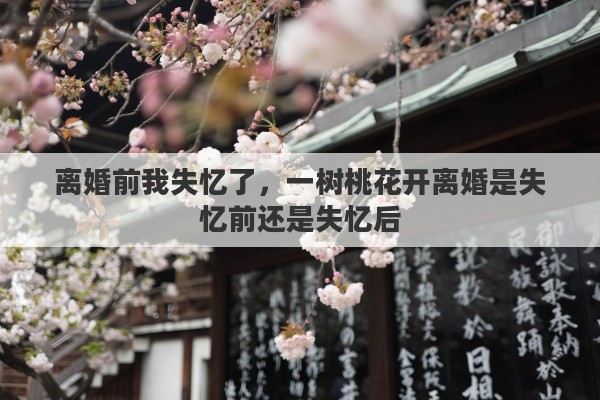 离婚前我失忆了，一树桃花开离婚是失忆前还是失忆后