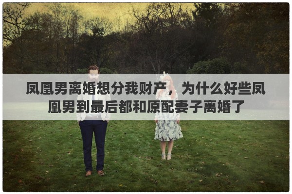 凤凰男离婚想分我财产,为什么好些凤凰男到最后都和原配妻子离婚了 凤凰男离婚想分我财产,为什么好些凤凰男到最后都和原配妻子离婚了