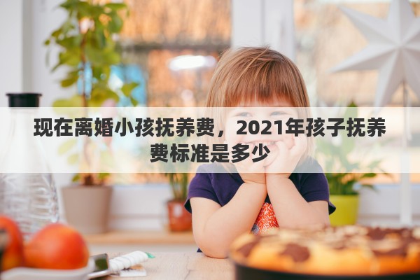 现在离婚小孩抚养费，2021年孩子抚养费标准是多少