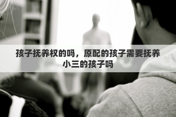 孩子抚养权的吗,原配的孩子需要抚养小三的孩子吗 孩子抚养权的吗,原配的孩子需要抚养小三的孩子吗