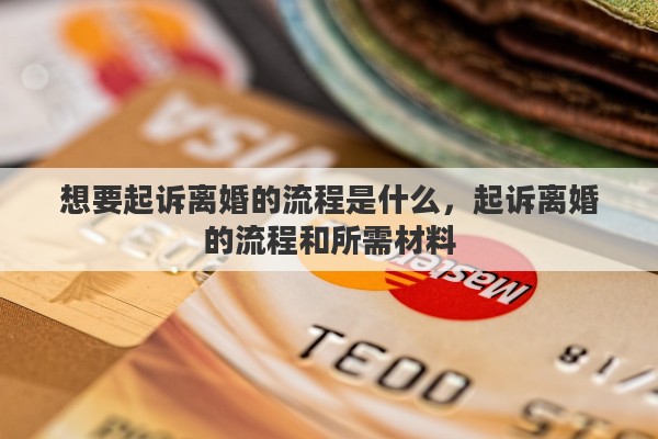 想要起诉离婚的流程是什么，起诉离婚的流程和所需材料