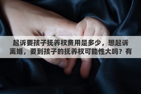 起诉要孩子抚养权费用是多少，想起诉离婚，要到孩子的抚养权可能性大吗？有何法律依据