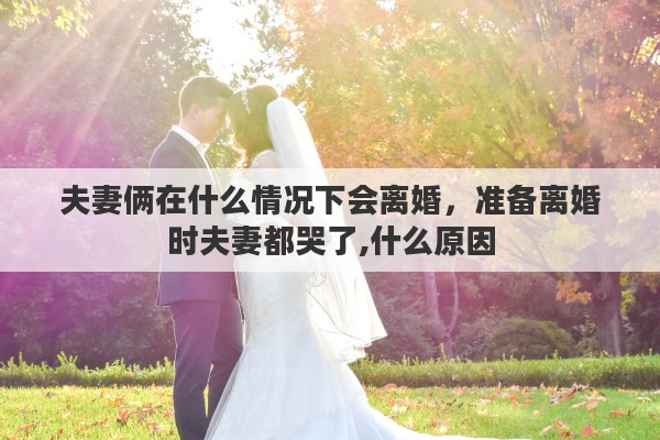夫妻俩在什么情况下会离婚,准备离婚时夫妻都哭了,什么原因 夫妻俩在什么情况下会离婚,准备离婚时夫妻都哭了,什么原因