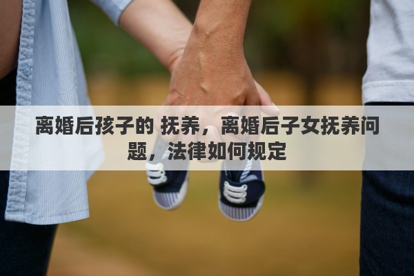 离婚后孩子的 抚养，离婚后子女抚养问题，法律如何规定