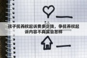 孩子抚养权起诉费多少钱，争抚养权起诉内容不真实会怎样