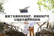离婚了夫妻的共同财产，离婚时财产可以继续为双方共同的吗